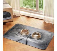 Pet Feeding Mat for Dog Bowls and Water Bowl Non Slip Pet Placemat Absorbent Cat Feeder Pad Snowy Train Tracks Pet Food Mat for Floors No Stains Dog Cat Water Bowl Mat 30x45cm