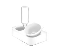 Pet For Dog Bowl Automatic Feeder With Water Fountain Double Drinking Raised Stand Dish