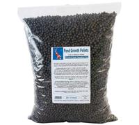 Pet Friend Growth Pellet 6mm Medium Pond Fish Food, 3kg | 38% High Protein Floating Pellets for Medium Koi & Large Goldfish