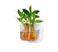 Pet Friendly Wall Hanging Aquariums With Hydroponic Plant Gardening Container For Hydroponic Plant Indoor Decoration Wall Mounted Plant Pot