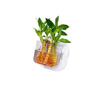 Pet Friendly Wall Hanging Aquariums with Hydroponic Plant Gardening Container for Hydroponic Plant Indoor Decoration Hanging Hydroponic Plant Pots