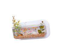 Pet Friendly Wall Hanging Aquariums with Hydroponic Plant Gardening Container for Plant Indoor Decoration Clear Wall Vases