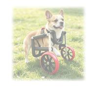 Pet Front Leg Mobility Aid - Adjustable Height, Soft Foam Tubing, & Breathable Padding for Small Dogs, Cats with Forelimb Injuries, Paralysis or Age-Related Weakness