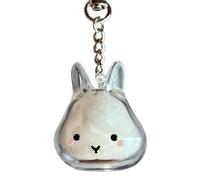 Pet Fur Storage Bottle Keychain, Creative Pets Furs Collection Transparent Container, Keepsake Box for Dogs, Cute Pet Memorial Gifts for Dog Cat Lovers (Powder Blusher Rabbit)
