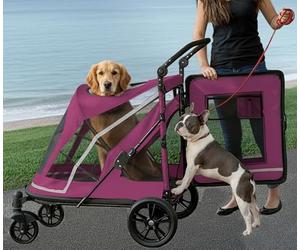Pet Gear Zipperless Pet Stroller with Double Entry, Zipper Free Entry Button for Single or Multiple Dogs or Cats, Pet Can Easily Get in and Out