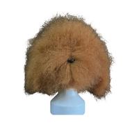 Pet Grooming Practice Head Model with Synthetic Fiber Hair for Small Dog and Training Scissors Hair Trimming Practice Model Trimming Coloring Head Realistic Training Professional Grooming Scissors Pet