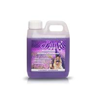 Pet Guard Artificial Grass Cleaner 1L Dog Safe Pet Eliminates Bacteria Deodorises Disinfects - Puppy Urine Cleaner & Odour Remover - Astro Turf Cleaner Dog Urine and Poop - Pet Friendly (Lavender)