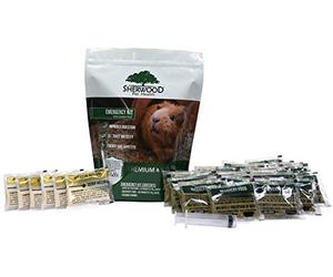 Pet Guinea Pig Emergency Kit with Timothy Recovery Food (Large Emergency Kit)