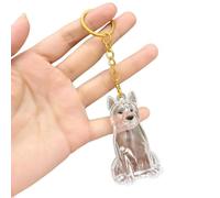 Pet Hair Collection Pendant Acrylic Keychain Handmade Keepsake Capsule Pet Bag Pendant Fur