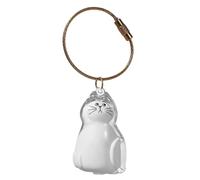 Pet Hair Keepsake Box for Cat, Transparent Pet Memorial Keepsake Storage Box, Portable Cat Shaped Souvenir Bottle Box, Pet Fur Memorial Keychain for Cats Whiskers, Nails, Bone,Loss Memorial Gifts