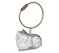 Pet Hair Keepsake Box for Cat, Transparent Pet Memorial Keepsake Storage Box, Portable Cat Shaped Souvenir Bottle Box, Pet Fur Memorial Keychain for Cats Whiskers, Nails, Bone,Loss Memorial Gifts