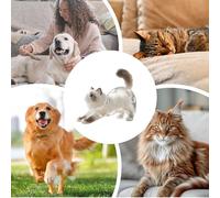 Pet Hair Memorial Keepsake | Pet Refillable Hair Keyring - Memorial Acrylic Clear Pendant Key Chain for Backpack Purse Charm Women Collection Men Bag