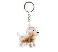 Pet Hair Storage Keychain,Clear Dog Keychain Hair Storage Bottle,Creative Pets Furs Collection Container,DIY Pet Hair Keepsake Box for Dogs,Cute Pet Memorial Gifts for Dog Cat Lovers (A)