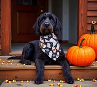 Pet Halloween Ghost Tie Bandana