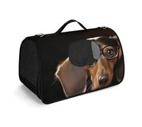 Pet Handbag, Dachshund Book Print Pet Handbag,Fashion Dog Carrier for Cat and Samll Dog,Any Travel and Outdoor Activity.