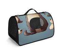 Pet Handbags, Hairy Ferret Printed Pet Handbags,folding Pet Bags,new Pet Handbags,universal Pet Handbags