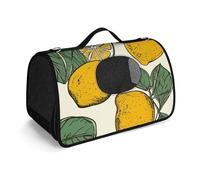 Pet Handbags, Lemon Fruit Pattern Printed Pet Handbags,folding Pet Bags,new Pet Handbags,universal Pet Handbags