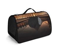 Pet Handbags, Louvre Museum in Paris Printed Pet Handbags,folding Pet Bags,new Pet Handbags,universal Pet Handbags