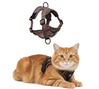 Pet Harness and Leash Set, Escape-Proof Adjustable Reflective Vest with Lead for Cats & Small Dogs, Soft Breathable Mesh Jacket for Outdoor Walking, Suitable for Dark Night Use (L)