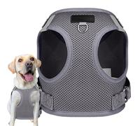 Pet Harness - Dog Chest Vest, No Pull, Pet Equipment, Polyester Vest with Glow in the Dark Strip Tracker Holder, Lightweight, Comfortable, Airy Puppy Harness for Walking, J