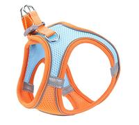 Pet Harness Dog Vest Harness Medium Dog Heavy Duty Dog Chains for outside Dog Supply Personalized Adjustable Dog Vest Le (Orange XXS)