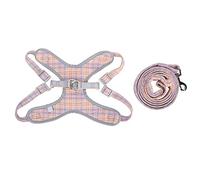 Pet Harness Leash Set Reflective Training Vest Adjustable Strap Traction Suitable for Mini Pigs Dogs Cats Orange (XXS)