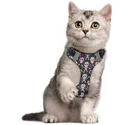 Pet Harness No Pull M Dancing Skull