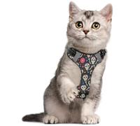 Pet Harness Quick Release S Dancing Sugar Skull
