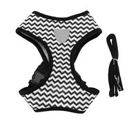 Pet Harness, Reflective Adjustable Breathable Mesh, with Leash for Small Medium Dogs Cats, Night Walking Gear (M)