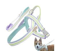 Pet Harness with Handle | Adjustable Pet Harness Set | Bright Color Outdoor Training Tool for Daily Walk, Weekend Outing, Traveling, Camping, and Picnic