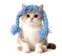 Pet Hat Wacky Cat Headwear Wig Cosplay Props Cute Braid Head Cover Double Ponytail Teddy Funny Dog Headgear Dress Up Hat