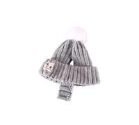 Pet Hat with Ear Holes Winter Warm Hats Ball Windproof Pet Cap Warm Acrylic Dog Headwears