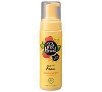 Pet Head Felin' Good Cat No Rinse Foam | Fruity Scent with Aloe Vera | Dry Cat Shampoo for Smelly Cats | Professional Waterless Grooming | Vegan | Lick-Safe | Gentle Formula for Kittens | 200ml