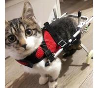 Pet Hind Leg Spine Injury Rehabilitation Training Car Hind Limb Disability Wheelchair Car Paralyzed Fracture(S)