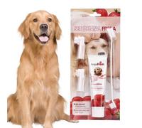 PET Hygiene Set End Brush Enzymatic Gel | Liver Flavoured Toothpaste Suitable for Dogs and Cats Allergy Allergy
