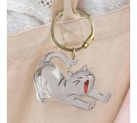 Pet Keepsake Box - Pet Refillable Hair Keyring | Acrylic Pendant Clear Memorial Key Chain for Men Collection Backpack Purse Bag Women Charm