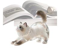 Pet Keepsake Box - Pet Refillable Hair Keyring | Memorial Acrylic Clear Pendant Key Chain for Men Charm Purse Collection Backpack Women Bag