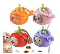 Pet Keepsake Keychain - Universal Pet Memorial Keychain, Clear Collection Keepsake Charm | Personalized Pets Hair Memory Holder For Dog Cat Rabbit Hamster Puppy Medium Large Breeds