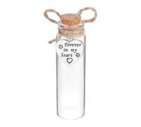 Pet Keepsakes for Dogs Large Breed Ashes Glass Storage Jar