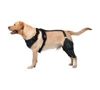Pet Knee Brace - Metal Support Stabilizer, Adjustable Breathable Wrap, Joint Care Band | Wound Recovery System, Injury Protection Setup, For Lick Prevention Healing Recovery therapys Plus