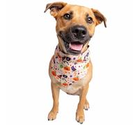 Pet Krewe Glow-in-The-Dark Reversible Dog Bandana - “Worst Costume Ever” Halloween Accessory for Dogs - Adjustable Tie-On Pet Scarf - Two Designs in One - Funny & Festive