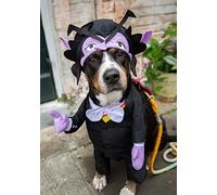 Pet Krewe The Count Vampire Dog Costume | Sesame Street Dracula Monster Pet Costumes for Dogs and Cats | Small Medium Large and X-Large