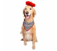 PET KREWE UNLEASH THE PARADE French Beret & Scarf Pet Costume - Two Piece Beret & Scarf Set - Dog & Cat Costume - One Size