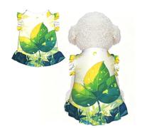 Pet lace Skirts are Suitable for Cats and Dogs | Floral Leaves Under Light X-Large Print Pet Lace Skirt, Stretchy And Breathable For Cats And Dogs