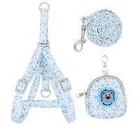 Pet Lead, A 3-Piece Set, Consisting of Lead, Chest Strap and Cartoon Bear Backpack, Floral Pattern Lead, Pet Accessories, Universal Lead for Dogs and Cats (Blue M) (Blue 1)