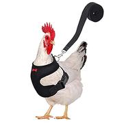 Pet Lead, Chicken Harness, High Visibility Vest for Chickens, Breathable Chicken Vest Adjustable Chicken Harness and Lead with Bow for Chickens, Duck or Goose
