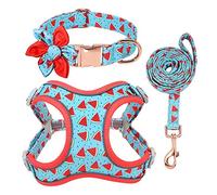 Pet Leash, Dog Cat Harnesses Set Blue Printed Collar Leash Personalized Pet Walking(M)
