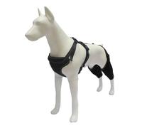 Pet Leg Brace Wrap In Comfortable Wrap Leggings Against Licking Dog Leggings Elbow Brace
