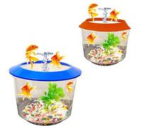 Pet Living Goldfish Bowl Strater Set Gold Fish Bowl with Ornamental Plant Fish Bowl (ORANGE)