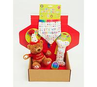 Pet London Dog Birthday Gift Box 4-Piece Hamper Present set, Perfect Dogs Happy Bday Celebration, includes Toys and Bandana (Large)